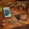 imageMagic The Gathering Bloomburrow Collector Booster Box  12 Packs 180 Magic Cards
