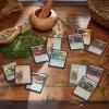imageMagic The Gathering Bloomburrow Commander Deck  Squirreled Away 100Card Deck 2Card Collector Booster Sample Pack  AccessoriesAll 4 Decks