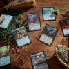 imageMagic The Gathering Bloomburrow Commander Deck  Squirreled Away 100Card Deck 2Card Collector Booster Sample Pack  AccessoriesBlackGreen