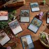 imageMagic The Gathering Bloomburrow Commander Deck  Squirreled Away 100Card Deck 2Card Collector Booster Sample Pack  AccessoriesBlueRedWhite