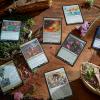 imageMagic The Gathering Bloomburrow Commander Deck  Squirreled Away 100Card Deck 2Card Collector Booster Sample Pack  AccessoriesGreenWhiteBlue