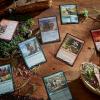 imageMagic The Gathering Bloomburrow Commander Deck  Squirreled Away 100Card Deck 2Card Collector Booster Sample Pack  AccessoriesRedGreen