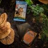 imageMagic The Gathering Bloomburrow Play Booster Box  36 Packs 504 Magic Cards