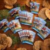 imageMagic The Gathering Bloomburrow Play Booster Box  36 Packs 504 Magic Cards