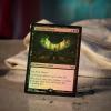 imageMagic The Gathering Duskmourn House of Horror Collector BoosterPlay Bundle