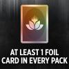 imageMagic The Gathering Murders at Karlov Manor Bundle  9 Play Boosters 30 Land Cards  Exclusive Accessories