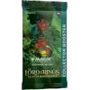 imageMagic The Gathering The Lord of The Rings Tales of MiddleEarth Commander Deck 1  Collector Booster Sample PackCollector Booster Box