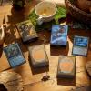 imageMagic The Gathering  Bloomburrow Starter Kit  Learn to Play Magic with 2 BloomburrowThemed Decks  2 Player Collectible Card Game for Ages 13casual