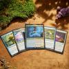 imageMagic The Gathering  Bloomburrow Starter Kit  Learn to Play Magic with 2 BloomburrowThemed Decks  2 Player Collectible Card Game for Ages 13casual