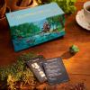 imageMagic The Gathering Bloomburrow Bundle  9 Play Boosters 30 Land Cards  Exclusive Accessories