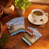 imageMagic The Gathering Bloomburrow Bundle  9 Play Boosters 30 Land Cards  Exclusive Accessories