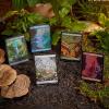 imageMagic The Gathering Bloomburrow Bundle  9 Play Boosters 30 Land Cards  Exclusive Accessories