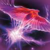 imageMagic The Gathering Pioneer Challenger Deck 2022  Dimir Control BlueBlackIzzet Phoenix BlueRed