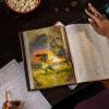 imageDampampD 2014 Players Handbook Dungeons ampamp Dragons Core Rulebook2014 Edition