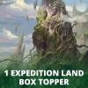 imageMagic The Gathering Zendikar Rising Draft Booster Box  36 Booster Packs 540 Cards  1 Box Topper  36 Full Art Lands  Factory Sealed